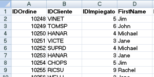 La funzione Cerca.Vert: risultato finale